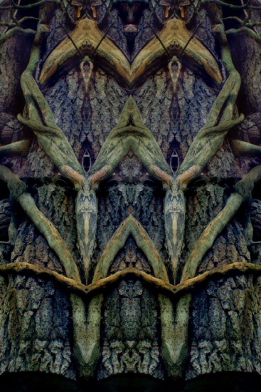 Image #3 of 9: 